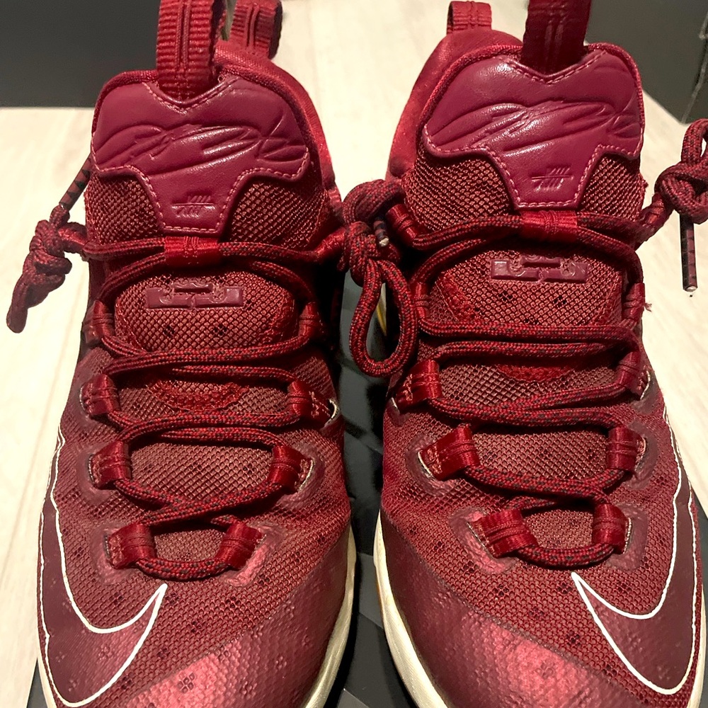 Nike LeBron 14